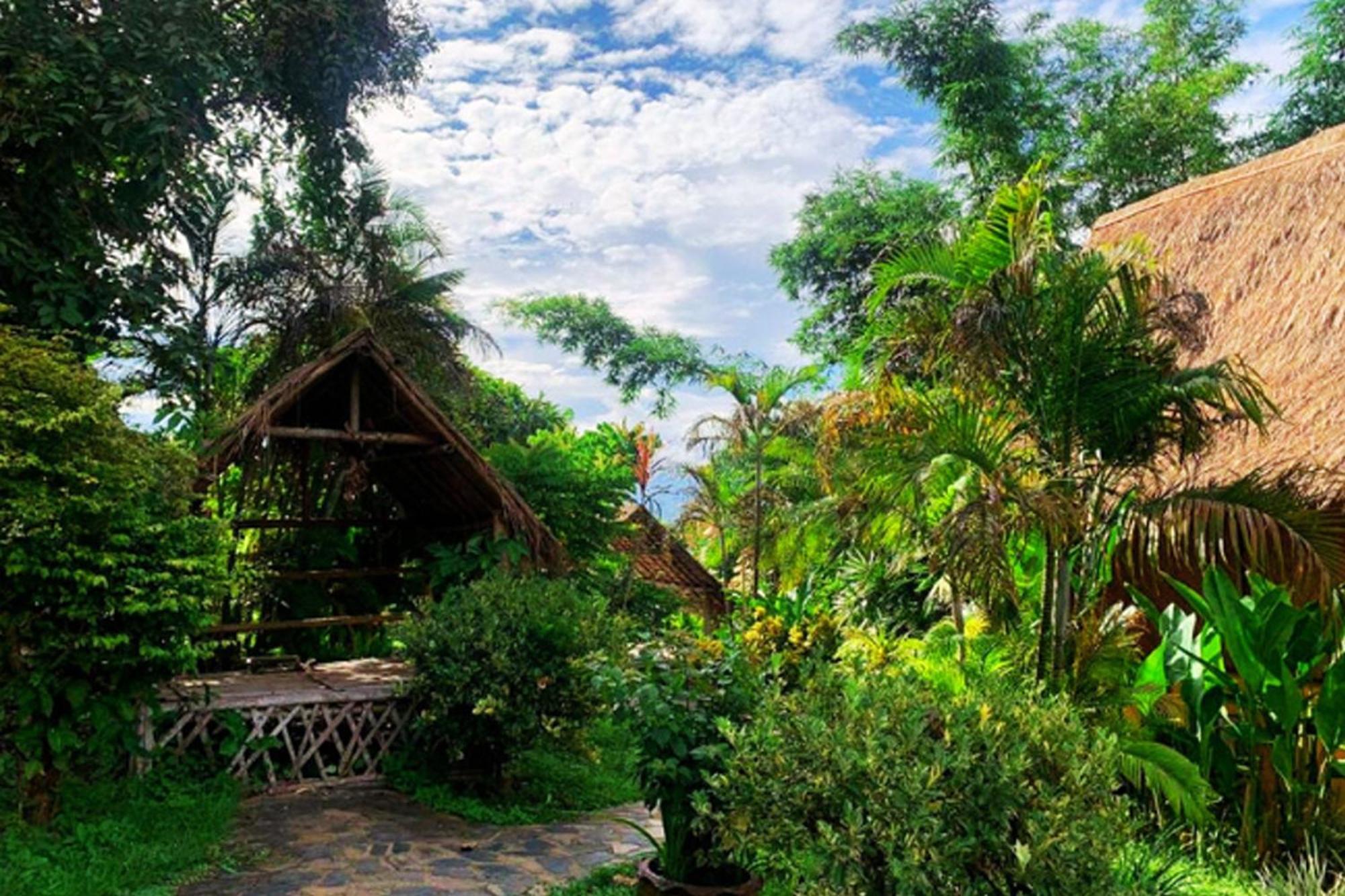 فندق Old Tree'S House Mae Ai المظهر الخارجي الصورة